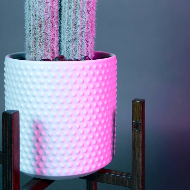 Maison Tessier - Wholesale Plant Pot - ITUS PUSILLI