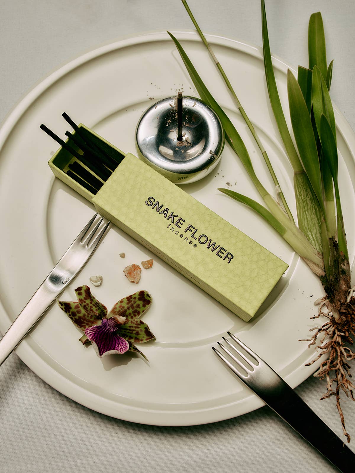 Gentle Habits – Incenso por atacado – A Segunda Onda - FLOR DE SERPENTE2