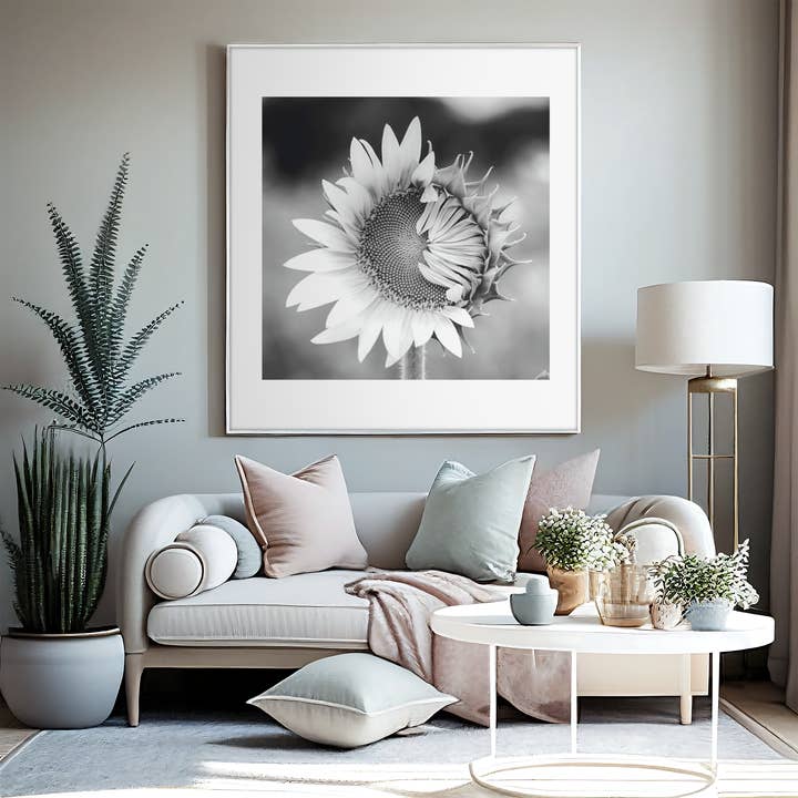 Fri Frakt Svart och vit singel solros, väggdekor för wholesale av Lisa Herigon Photography