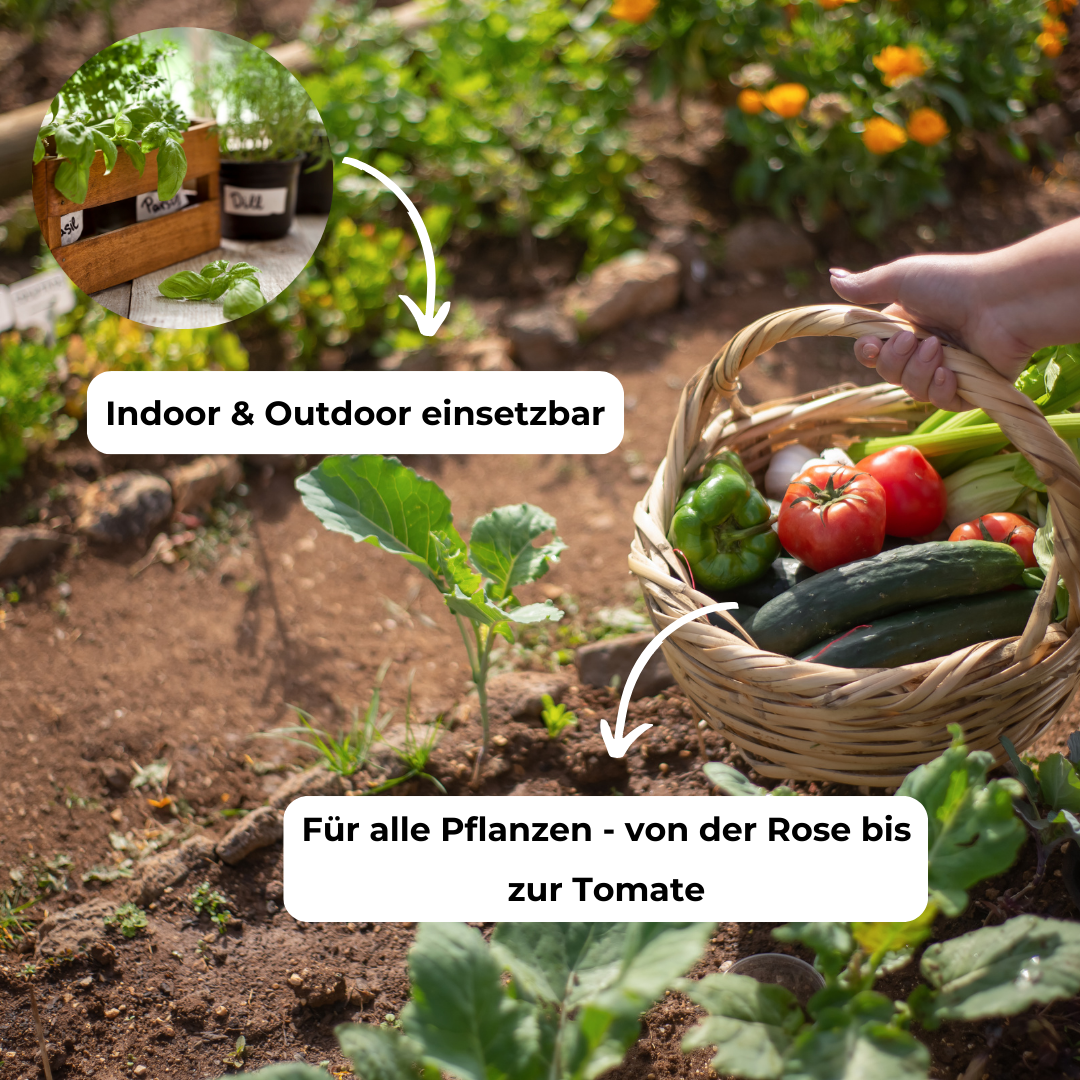 HKPÄDs - Wholesale Fertilizer - Vegan natural fertiliser in organic quality - odourless, oh4