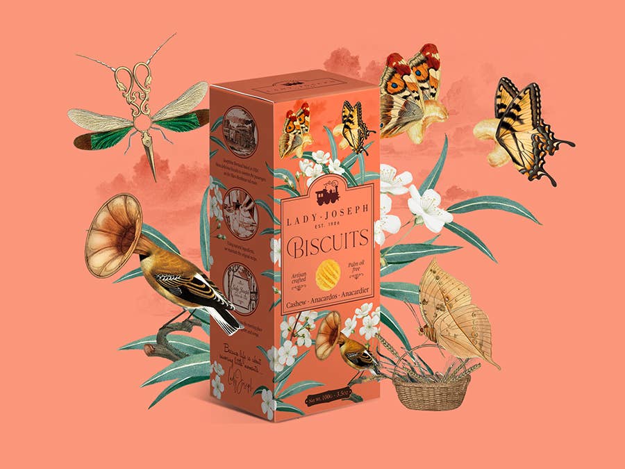 Lady Joseph - Vente Biscuits - Biscuits Artisanaux à la Noix de Cajou - Végan, Keto2