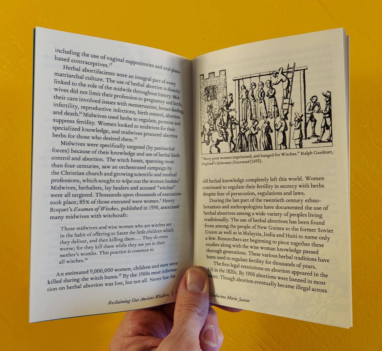 Microcosm Publishing & Distribution - Wholesale Medical Health - Reclaiming Our Ancient Wisdom: Midwives & Herbalists (Zine)1