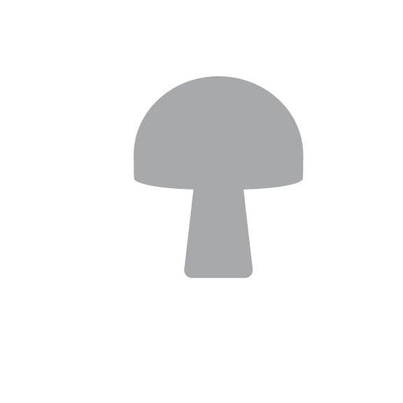 Artifacture - Wholesale Craft Supplies - Laser Cut Fall Themed Calligraphy Blanks (Paper)100