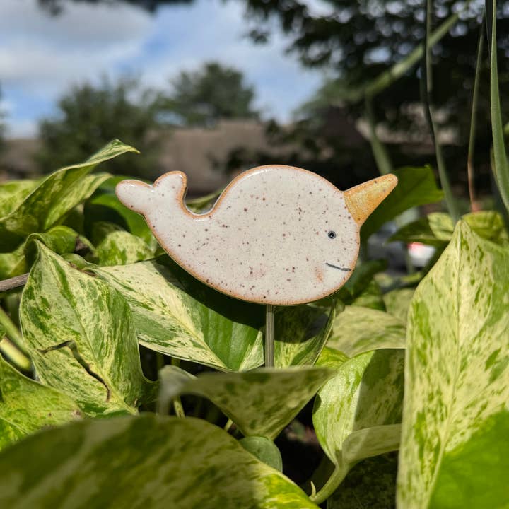 Plant Buddies - Narwhal for wholesale by Mud & Maker