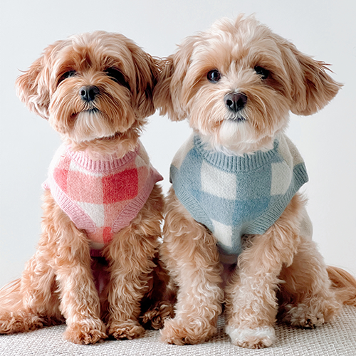 Lucy & Co. - Wholesale Pet Sweater - Dog - Take a Bow Sweater5