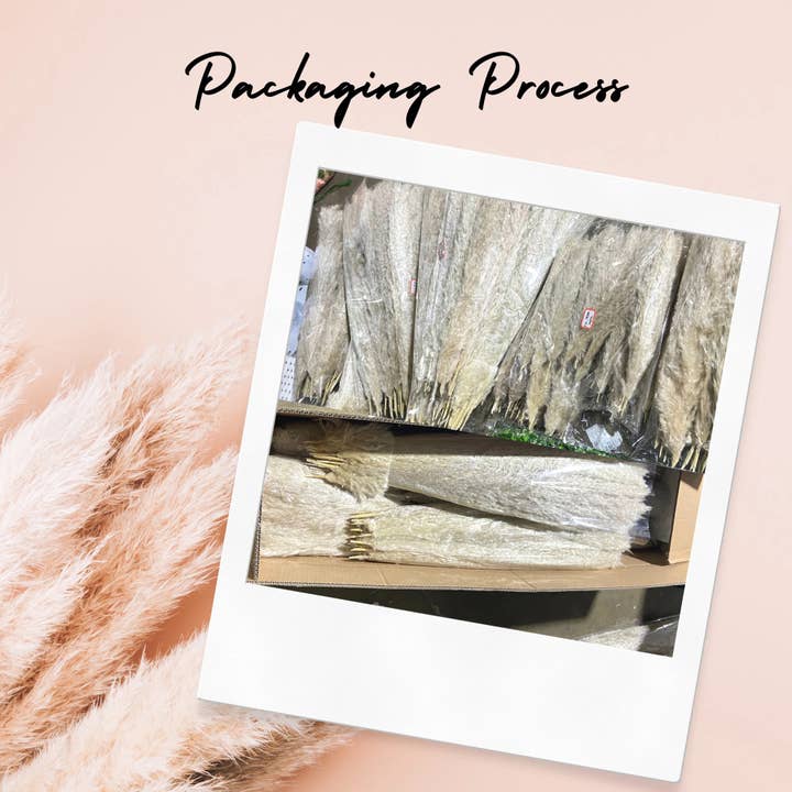 Cwpco - Wholesale Sculpture - Luxury Handmade Pampas Grass Christmas Tree Boutique Display6