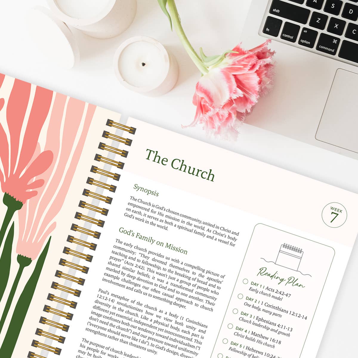 Spiral Bible - Vente Livre sur la religion - La Bible en un an : étude spirituelle sur 52 semaines4