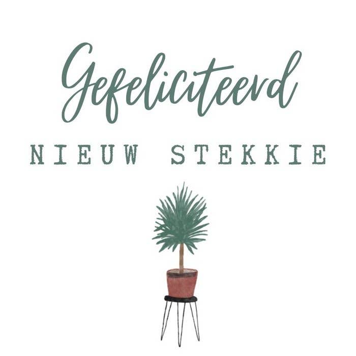 Thalien - Wholesale Everyday Greeting Card - Mini card new plug