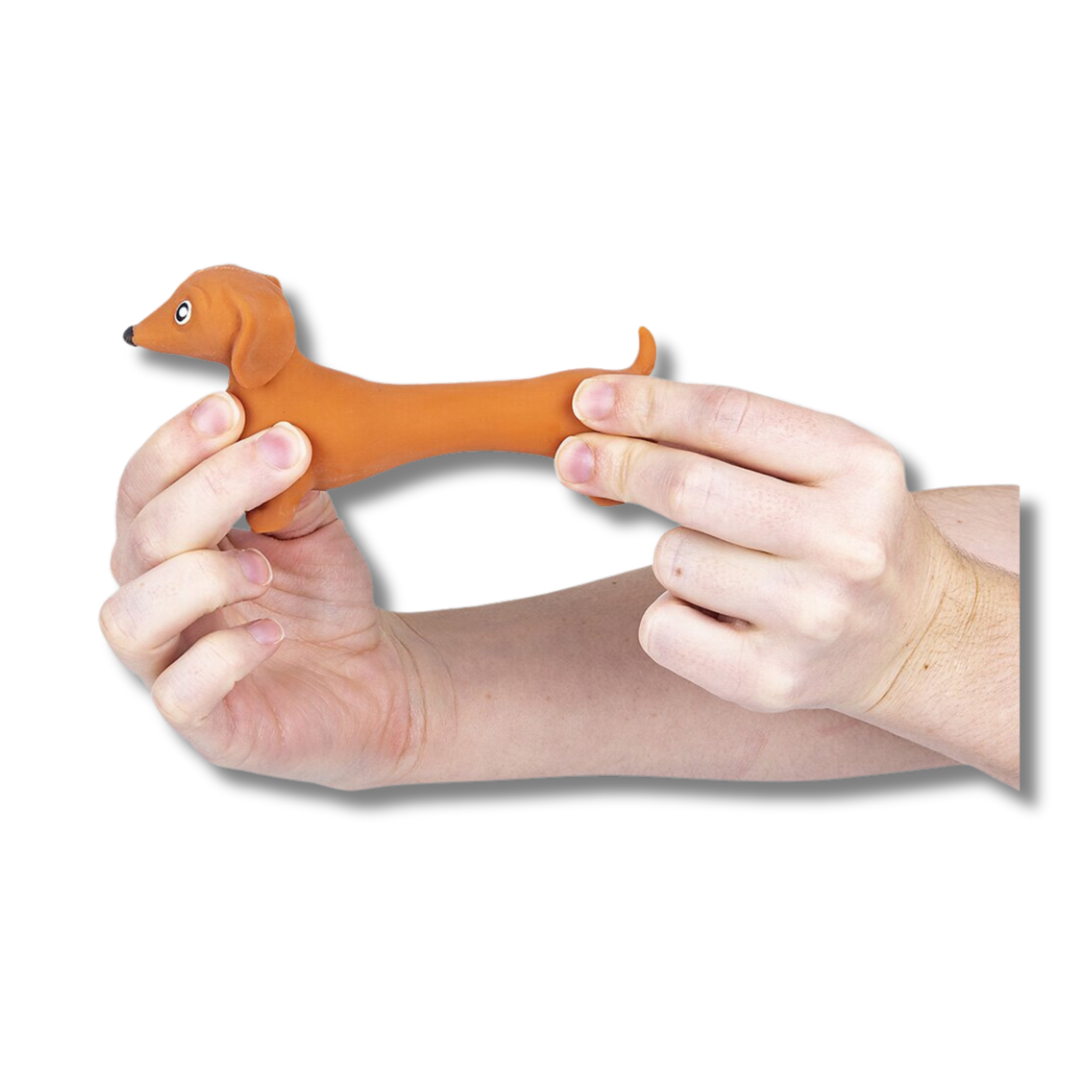 JSBlueRidge Toys - Wholesale Fidget Toy - Kids - Dachshund Soft Stretchy Sand Filled Fidget Kids Toy1