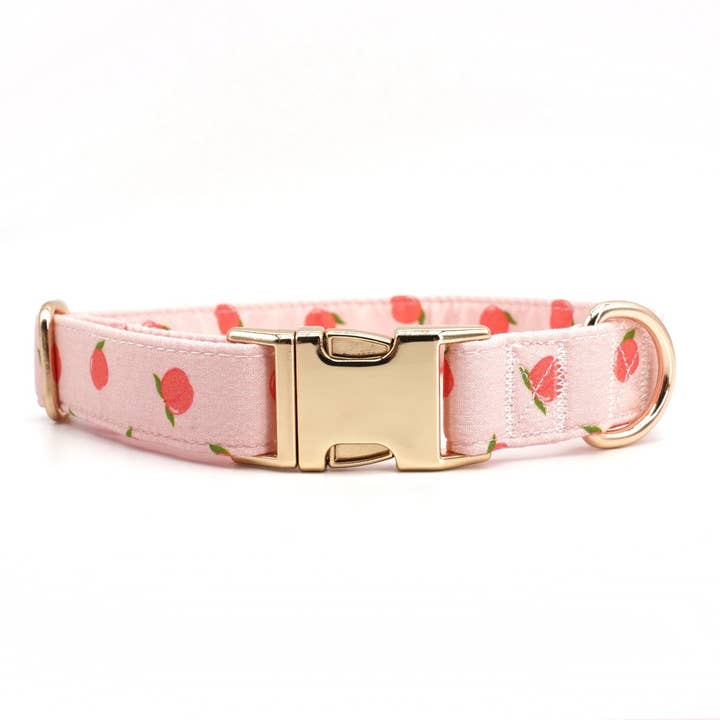 Sniff & Bark - Wholesale Pet Collar - Dog - Peach Collar