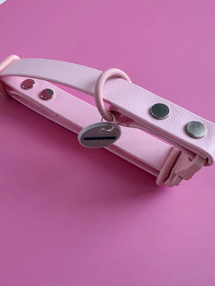 COLLIER POUR CHIEN IMPERMÉABLE - SUGAR & SNOUT - BUBBLEGUM BARK pour la vente par Hund & Shore