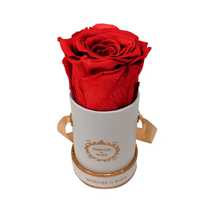 White Mini Round for wholesale by MONTÉE DE ROSE