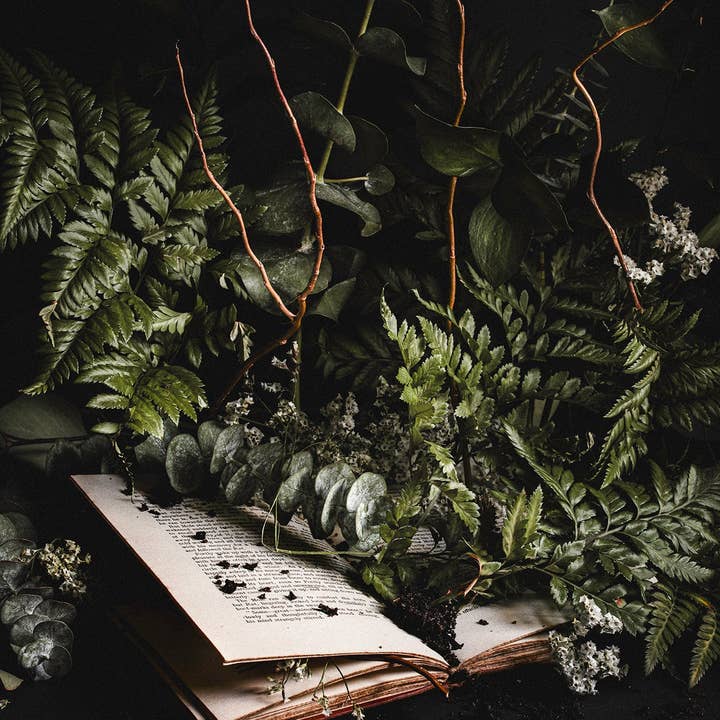 Alyssa Thorne - Wholesale Art Print - Hinterland Overgrowth | Art Print | Dark Bookish Forest