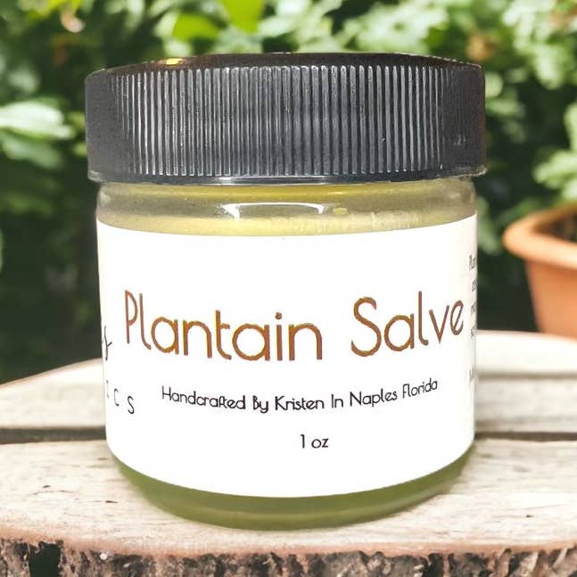 1oz. Plantain Salve for wholesale by Kris Organics