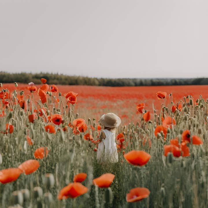 Note Suave - Wholesale Wax Melt - Poppy