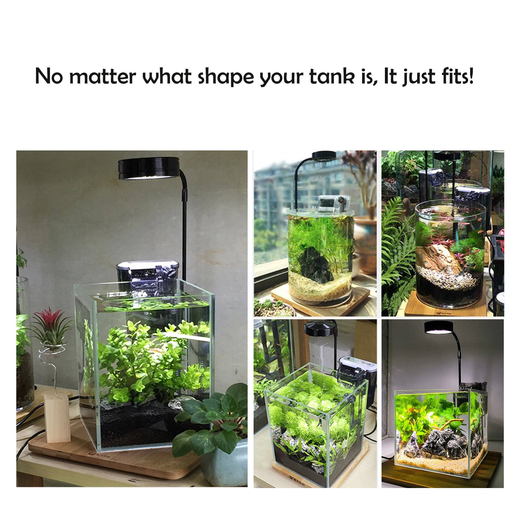 HIRO AQUATICS - Wholesale Accent/Desk Lamp - Full Spectrum LED Light, fits Aquarium Nano Tank, Wabi Kusa3