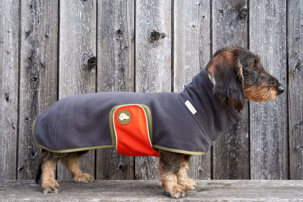 Fleece Dachshund Sweater Henry in Anthracite for wholesale on Faire1