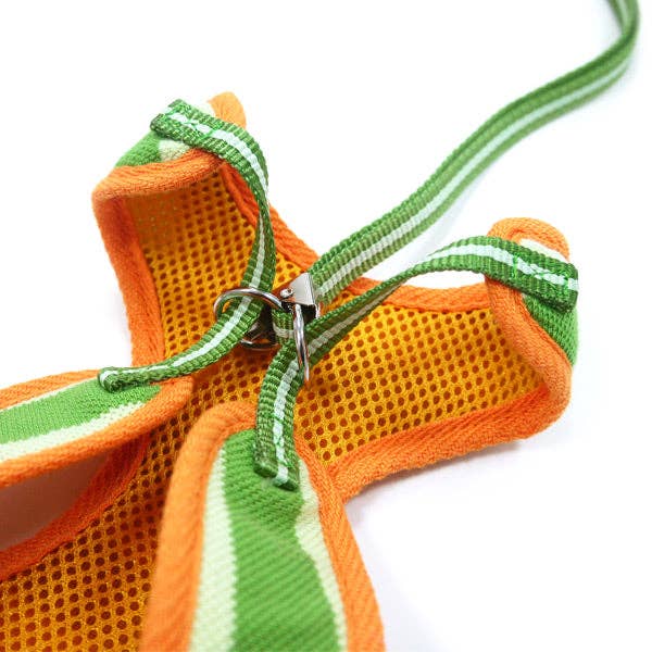 Dogo Pet - Wholesale Pet Harness - Dog - EasyGO Polo7