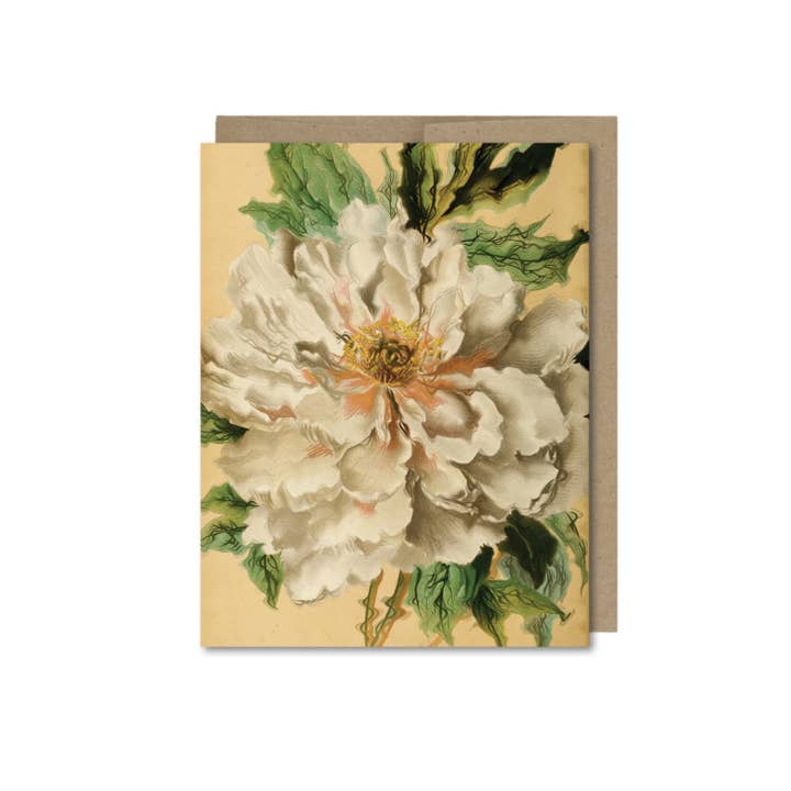 The Galek Sea - Wholesale Everyday Greeting Card - Vintage Flowers Card1