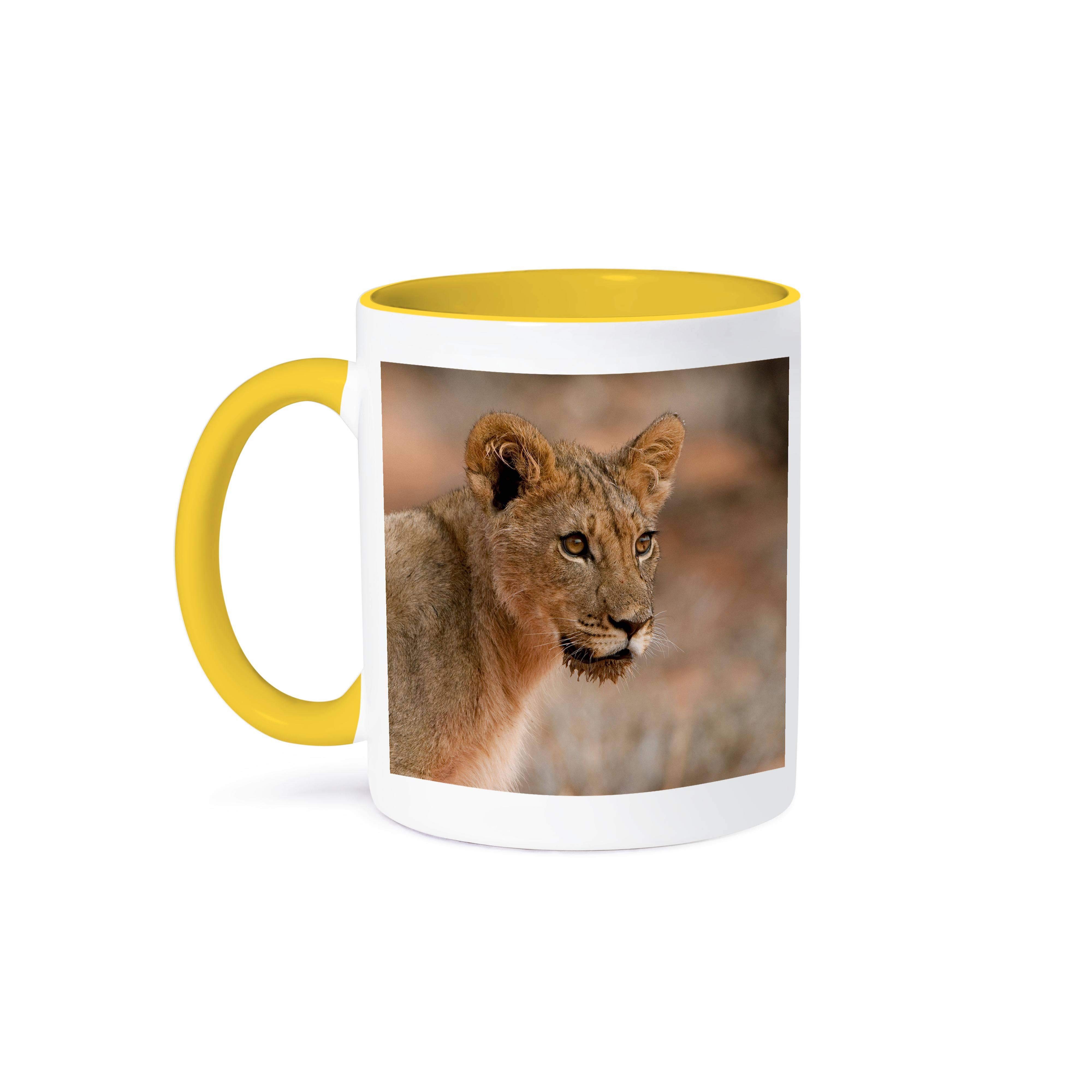 3dRose – wholesale Coffee mug – 3dRose, Lion with wet jaw from drinking water, Kgalagadi NP, South Africa., Mug0