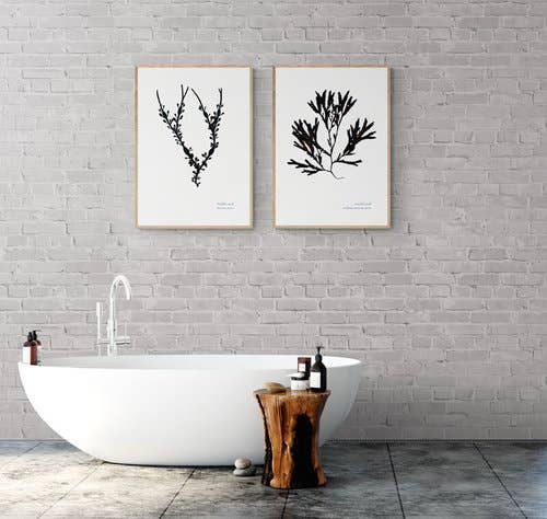 The Seaweed Studio – wholesale Art print – Budleigh Salterton, Devon, Hand Pressed Seaweed Print1