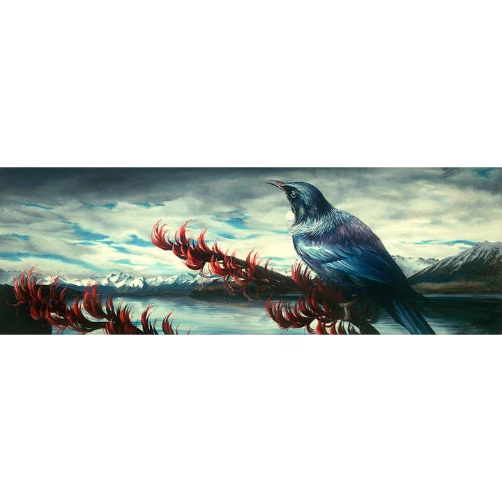Tui på Tekapo - lærred Print for engroshandel hos deSotogi Fine Art
