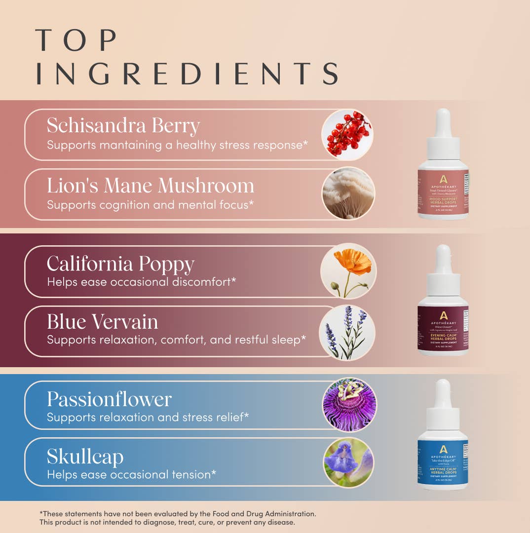 Apothékary – Großhandel Tinkturen – Now & Zen Mini Kräuterbonbons Set2