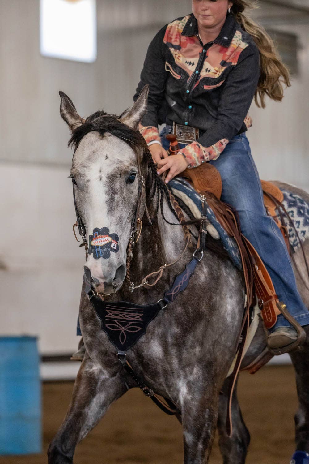 EquiBreathe™ – Equipamento de equitação por atacado – EquiBreathe™ Adesivo Nasal Equino - Vegas2