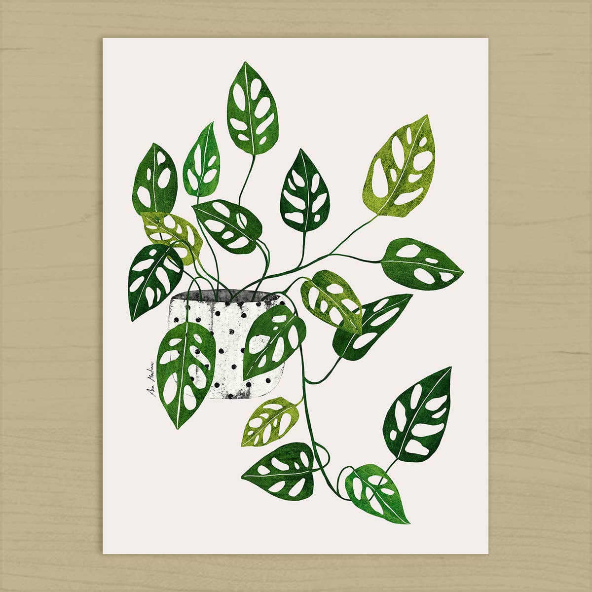 El buen limón - Wholesale Kunstprint - Monstera Obliqua kunstdruk1