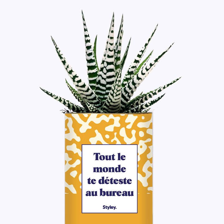 Styley - Venta al por mayor Plantas naturales - Todo El Mundo Te Odia En La Oficina - Cactus