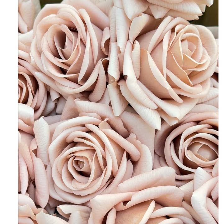 Angel Isabella - Wholesale Artificial Flowers - 26"-Elegant Real Touch rose-blush taupe-muted beige color