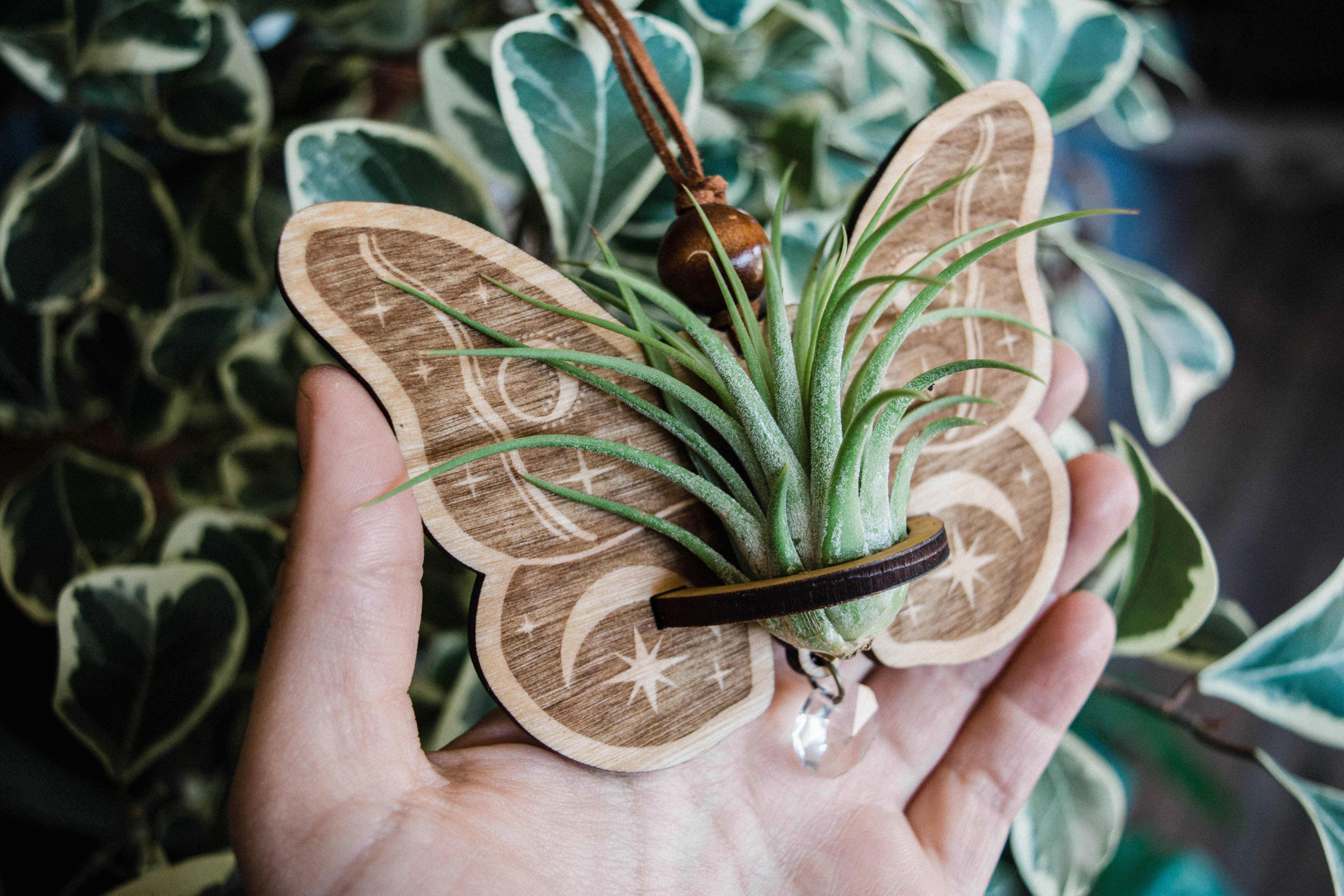 HEX Botanical - Wholesale Suncatcher - Celestial Moth Air Plant Hanger Suncatcher Crystal Prism 10