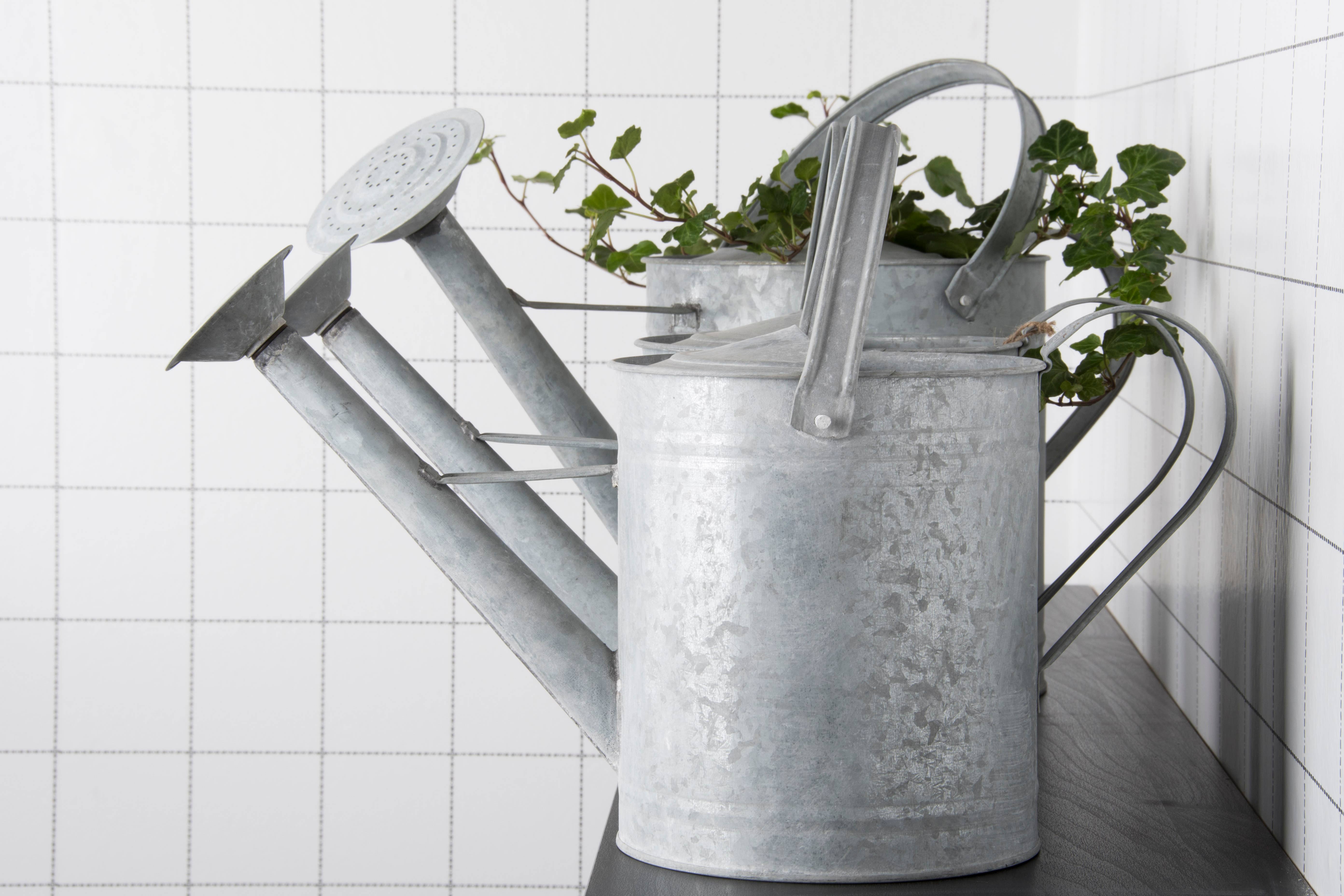 Fallen Fruits Ltd – wholesale Watering can – OZ44 - Old Zinc Watering Can (3.6Lt)0