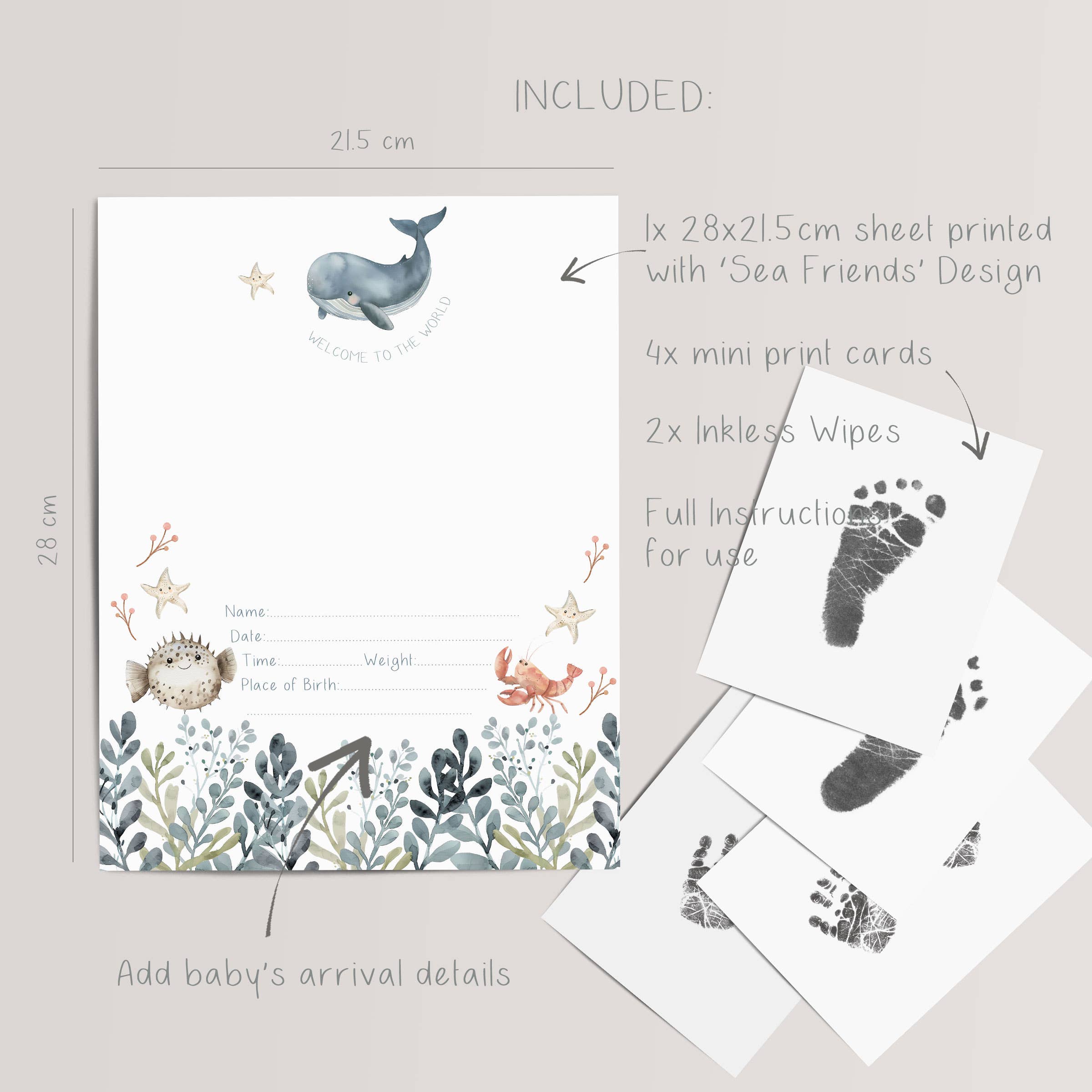 HELLO BOO – wholesale Hand & footprint kit – Child & baby – 'Sea Friends' Inkless Hand & Footprint Keepsake Certificate2