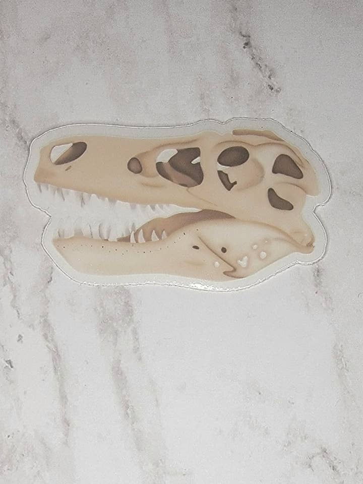 Tyrannosaurus Rex Skull Sticker for wholesale by Kingdom Animalia