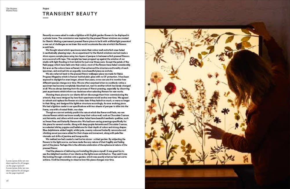 Abrams - Wholesale Crafts, Hobbies & DIY - The Modern Flower Press6