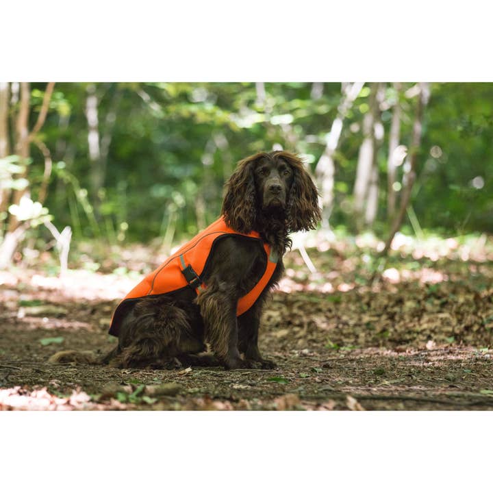 Paws & Presto - Venta al por mayor Chaleco - Perros - Chaleco refrescante para perros Paws & Presto5