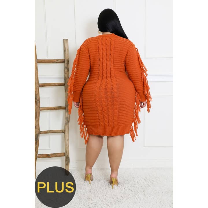 Ariel USA - Wholesale Dress - Women's - Fringe Sweater Dress for Cozy and Chic Fall Vibes