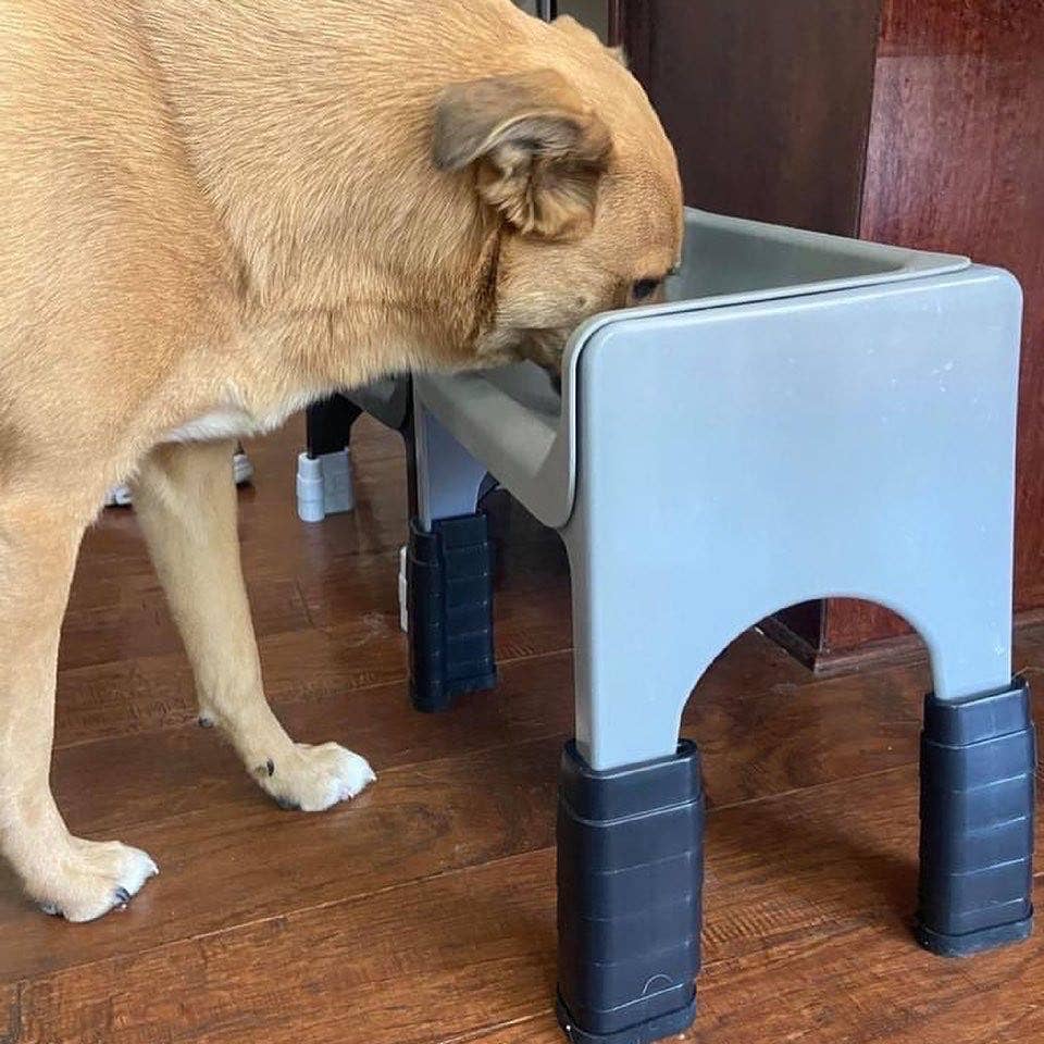 Fluff Trough - Wholesale Pet Elevated Bowl - Cat/Dog - Stackable Fluff Trough Lift Kit2