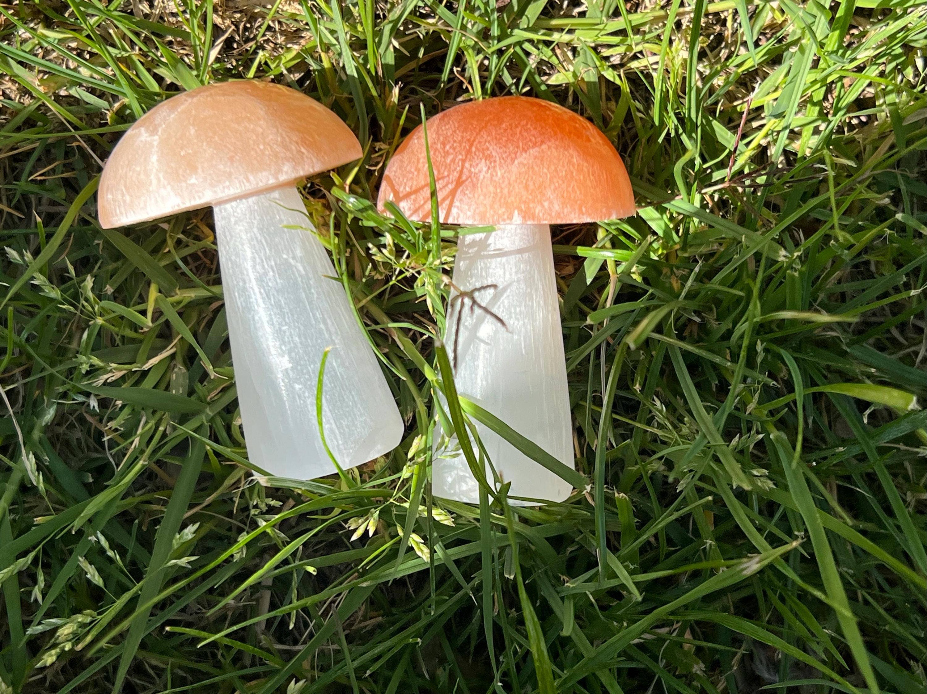 EC Plugs and Gems - Vente Pierre et cristal de spiritualité - Champignon sculpté en sélénite – Cristal artisanal pour purification énergétique, décoration et guérison spirituelle1