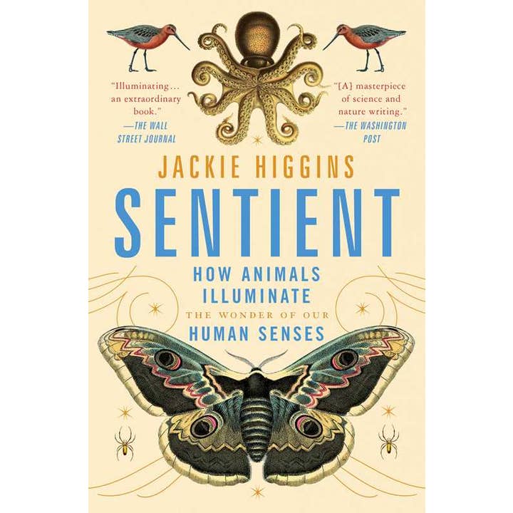 Sentient by Jackie Higgins for wholesale by Simon & Schuster