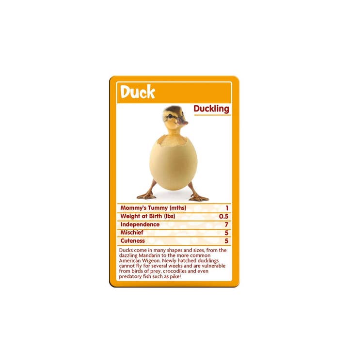 Top Trumps USA, Inc. - Wholesale Card Game - Baby Animals Top Trumps Card Game