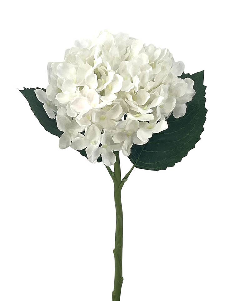 RAMA HORTENSIA POLIEST.CREMA, 38cm(15cm) para venta al por mayor de Aguilar Málaga
