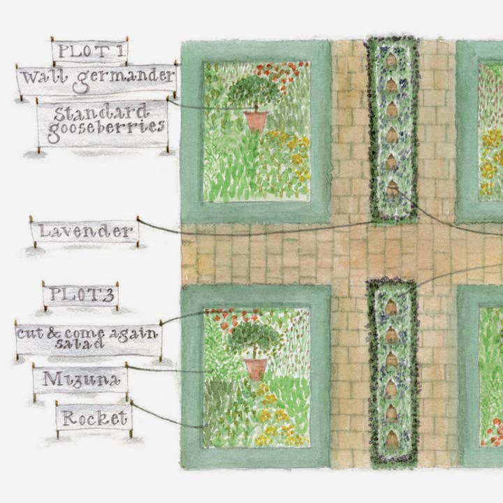 Gabrielle Solly Illustration - Wholesale Everyday Greeting Card - 'Traditional Potager' Fruit & Vegetable Garden Card2