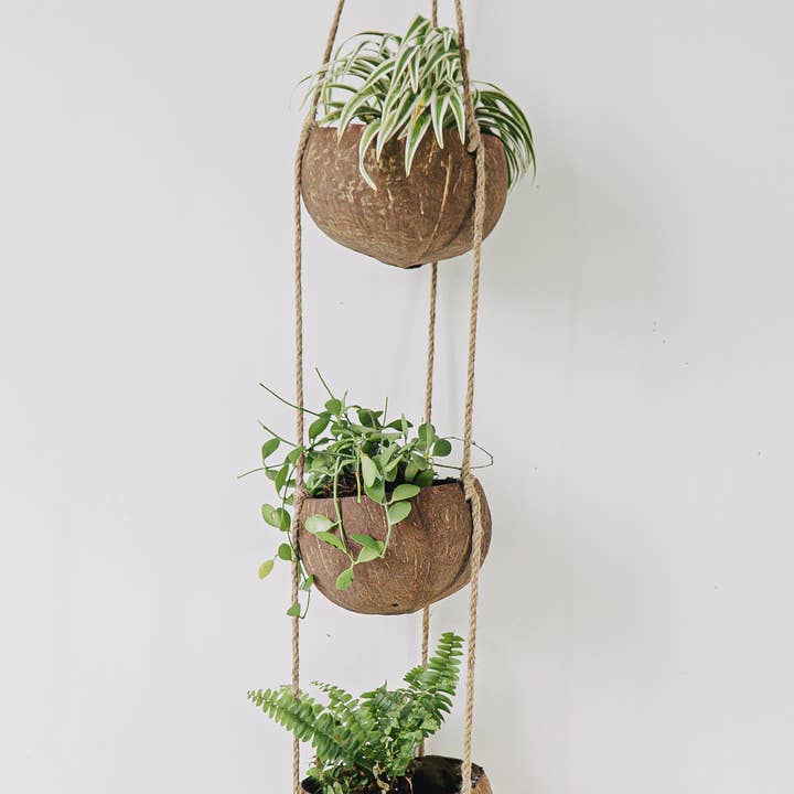 Rainforest Bowls - Wholesale Hanging Planter - Hanging Coconut Planter (3-Tier)