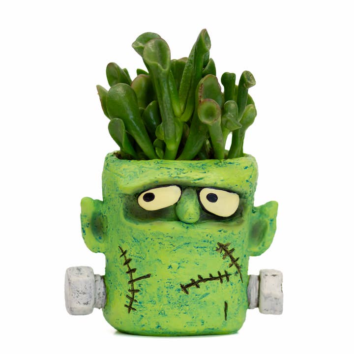 Cohasset Gifts - Wholesale Plant Pot - Frankie Monster Blobhouse Planter