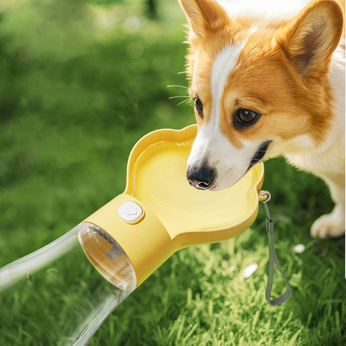 PAWPAWwholesale - Wholesale Pet Water Bottle - Dog - Travel Pet Water Dispenser for Dogs and Cats_CWMM629113