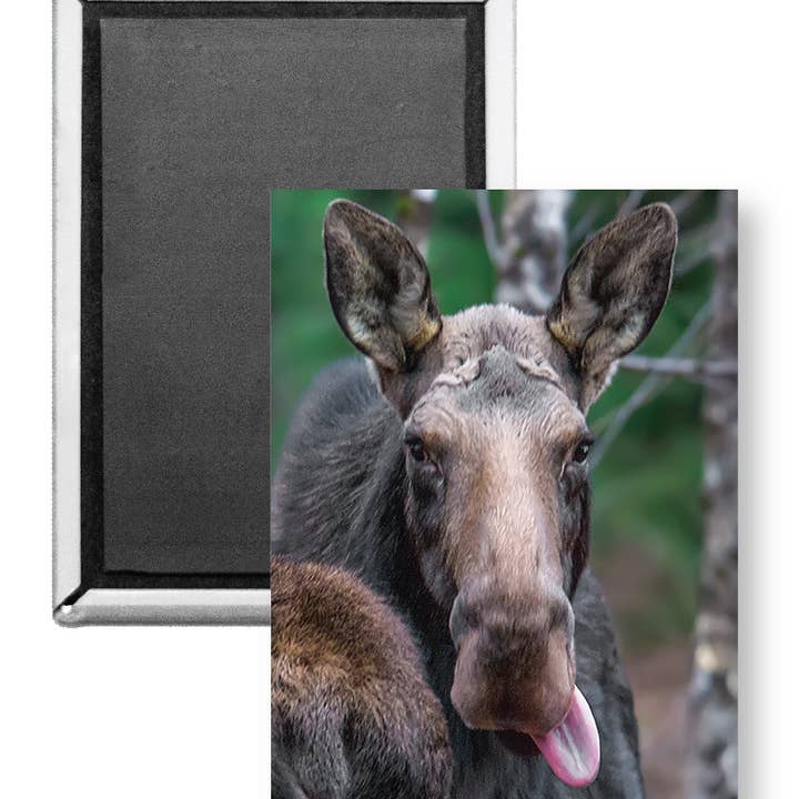 7806 - Moose Lick lange magneet voor wholesale door White Mountain Images