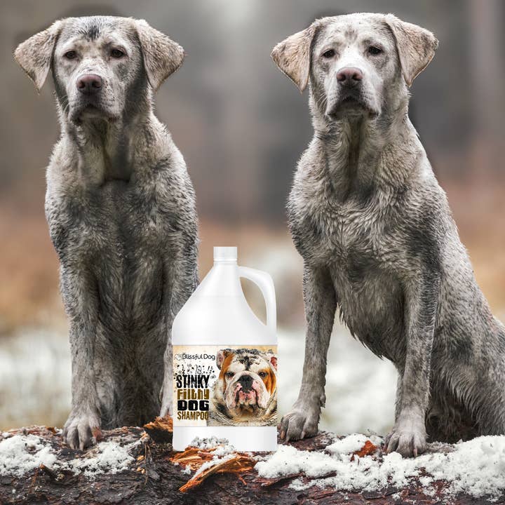 The Blissful Dog – Großhandel Haustiershampoo – Hund – Stinky Filthy Hundeshampoo für schmutzige Hunde Gallone