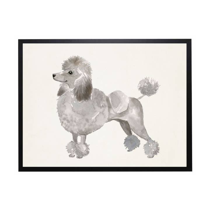 Aquarelle Caniche NN pour la vente par Antique Curiosities Inc